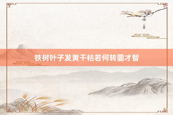 铁树叶子发黄干枯若何转圜才智