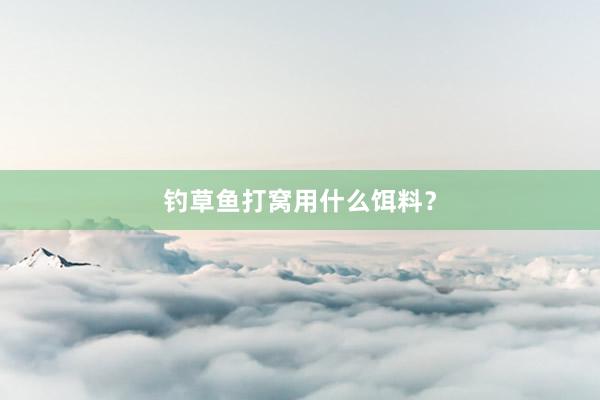 钓草鱼打窝用什么饵料？