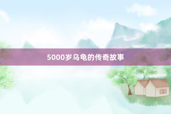 5000岁乌龟的传奇故事