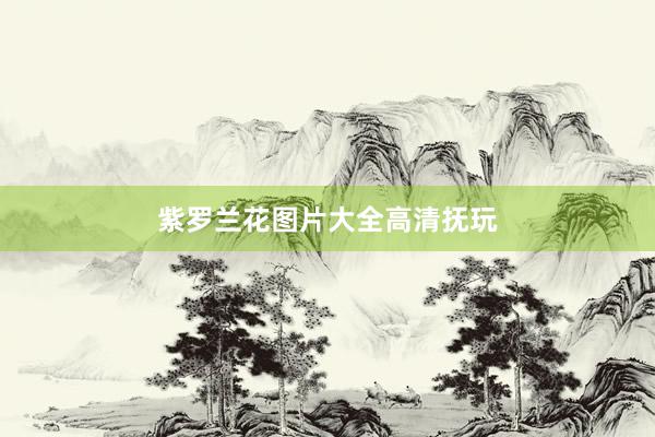 紫罗兰花图片大全高清抚玩