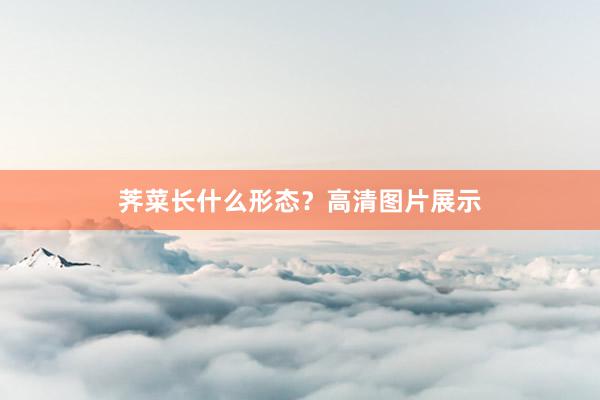 荠菜长什么形态？高清图片展示